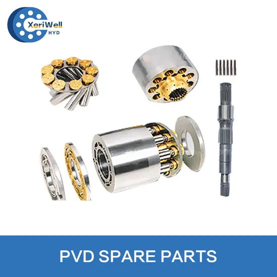 Daikin PVD21 PVD22 PVD23 PVD24 Hydraulic Pump Parts