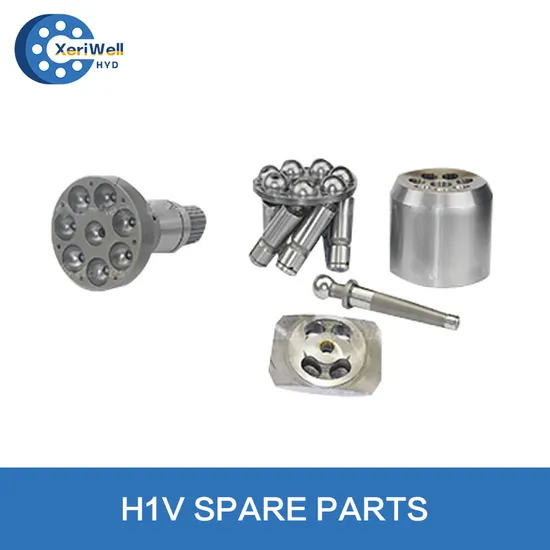 Italy Sam H1V 55/75/108/160/226 H1V55 H1V75 H1V108 H1V160 H1V226 Hydraulic Pump Parts