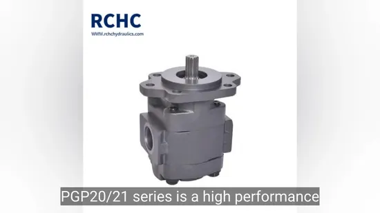 P20/P21/Pgp20/Pgp21cast Iron Pump, Ball Bearing Structure Can Be Used Hydraulic Machinery 