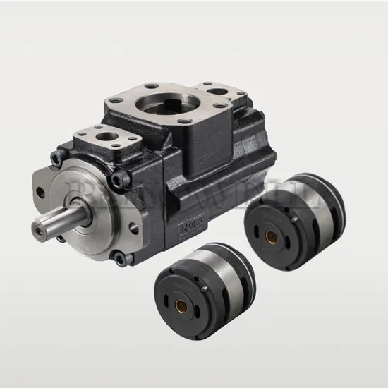 T6cc T6ccz T6CCM Vane Pump Denison Hydraulic Rotary Vane 3G7655 Hydraulic Pump 