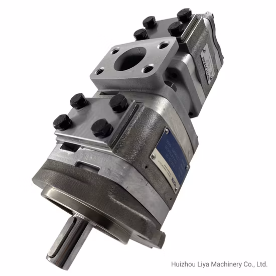 Boxinhuasheng Hydraulic Displacement 100 Ml/R Nsh Gear Pump